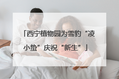 西宁植物园为雪豹“凌小蛰”庆祝“新生”