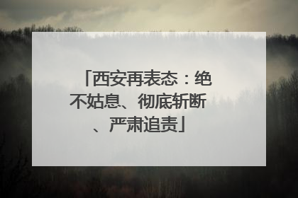 西安再表态：绝不姑息、彻底斩断、严肃追责