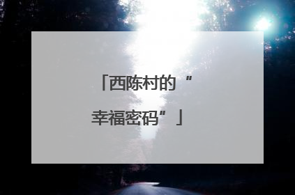 西陈村的“幸福密码”