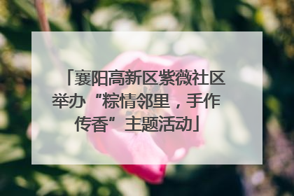 襄阳高新区紫薇社区举办“粽情邻里，手作传香”主题活动