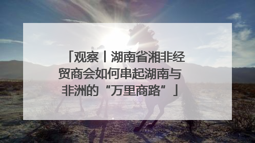 观察丨湖南省湘非经贸商会如何串起湖南与非洲的“万里商路”