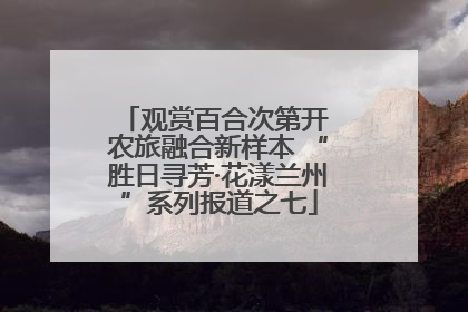 观赏百合次第开 农旅融合新样本 “胜日寻芳·花漾兰州”系列报道之七