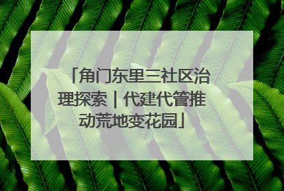角门东里三社区治理探索｜代建代管推动荒地变花园