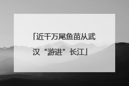 近千万尾鱼苗从武汉“游进”长江