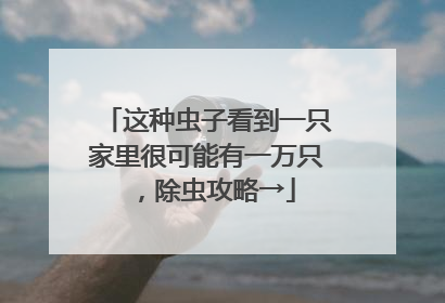 这种虫子看到一只家里很可能有一万只，除虫攻略→