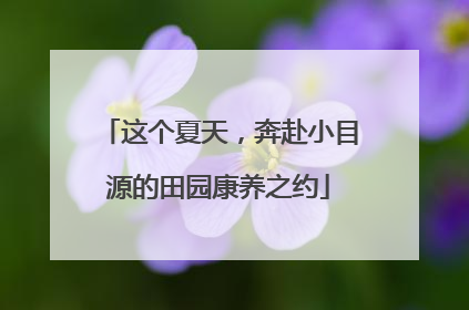 这个夏天，奔赴小目源的田园康养之约