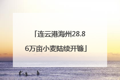 连云港海州28.86万亩小麦陆续开镰