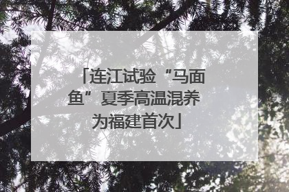 连江试验“马面鱼”夏季高温混养 为福建首次