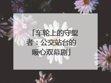 车轮上的守望者：公交站台的暖心双幕剧