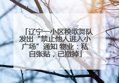 辽宁一小区秧歌舞队发出“禁止他人进入小广场”通知 物业：私自张贴，已撤掉