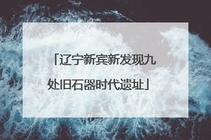 辽宁新宾新发现九处旧石器时代遗址