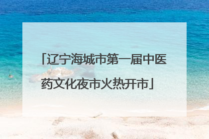 辽宁海城市第一届中医药文化夜市火热开市