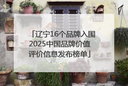 辽宁16个品牌入围2025中国品牌价值评价信息发布榜单