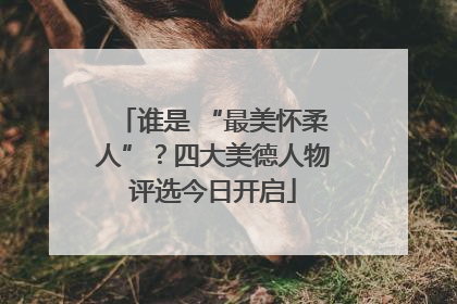 谁是 “最美怀柔人”？四大美德人物评选今日开启