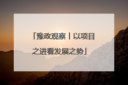 豫政观察丨以项目之进看发展之势