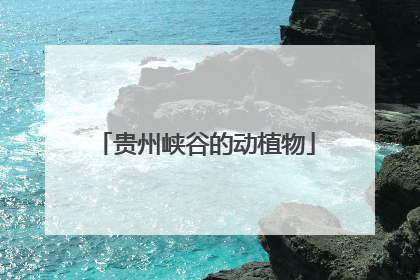 贵州峡谷的动植物