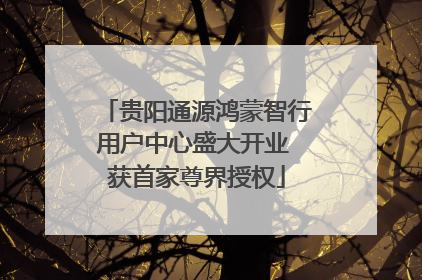 贵阳通源鸿蒙智行用户中心盛大开业 获首家尊界授权