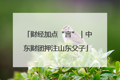 财经加点“言”｜中东财团押注山东父子