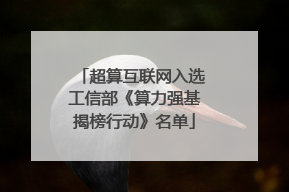 超算互联网入选工信部《算力强基揭榜行动》名单