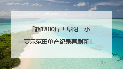 超1800斤！阜阳一小麦示范田单产纪录再刷新