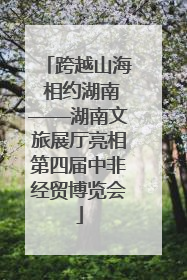 跨越山海 相约湖南——湖南文旅展厅亮相第四届中非经贸博览会