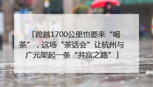 跨越1700公里也要来“喝茶”，这场“茶话会”让杭州与广元架起一条“共富之路”