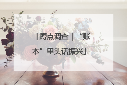 蹲点调查｜“账本”里头话振兴