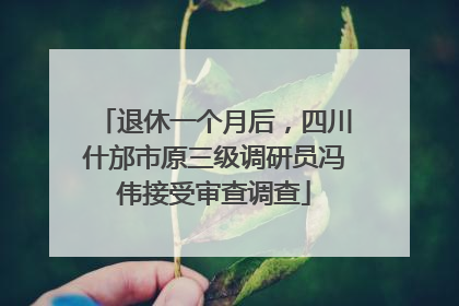 退休一个月后，四川什邡市原三级调研员冯伟接受审查调查