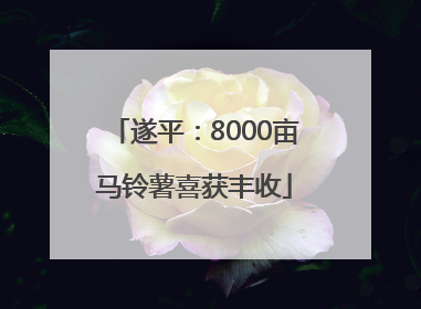 遂平：8000亩马铃薯喜获丰收