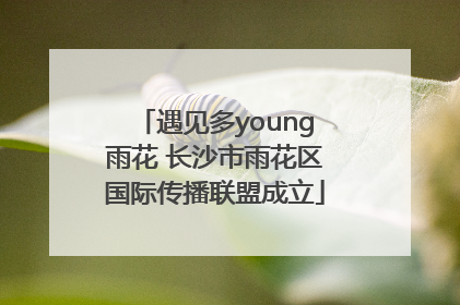 遇见多young雨花 长沙市雨花区国际传播联盟成立
