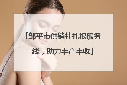 邹平市供销社扎根服务一线，助力丰产丰收