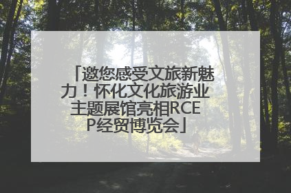 邀您感受文旅新魅力！怀化文化旅游业主题展馆亮相RCEP经贸博览会