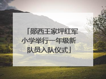 郧西王家坪红军小学举行一年级新队员入队仪式