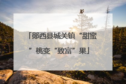 郧西县城关镇“甜蜜”桃变“致富”果