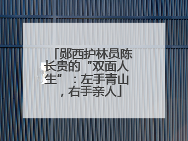 郧西护林员陈长贵的“双面人生”：左手青山，右手亲人