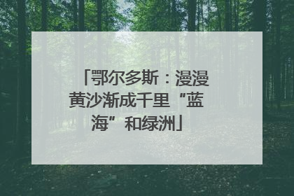 鄂尔多斯：漫漫黄沙渐成千里“蓝海”和绿洲
