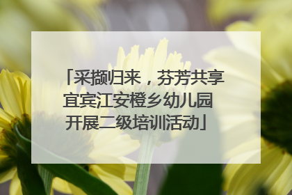 采撷归来，芬芳共享 宜宾江安橙乡幼儿园开展二级培训活动