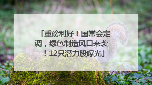 重磅利好！国常会定调，绿色制造风口来袭！12只潜力股曝光