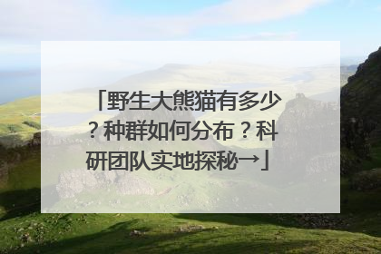 野生大熊猫有多少？种群如何分布？科研团队实地探秘→