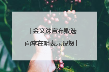 金文洙宣布败选 向李在明表示祝贺