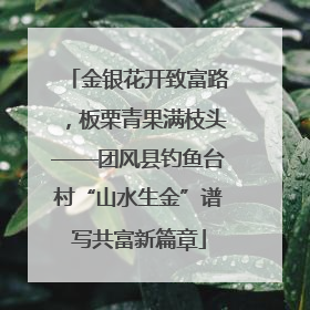 金银花开致富路，板栗青果满枝头——团风县钓鱼台村“山水生金”谱写共富新篇章