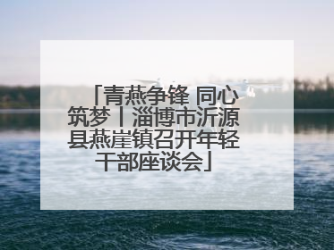 青燕争锋 同心筑梦丨淄博市沂源县燕崖镇召开年轻干部座谈会