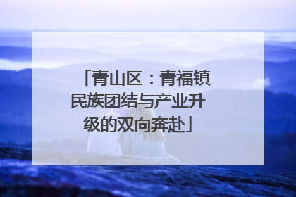 青山区：青福镇民族团结与产业升级的双向奔赴