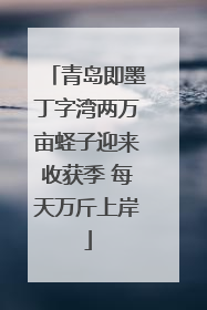 青岛即墨丁字湾两万亩蛏子迎来收获季 每天万斤上岸