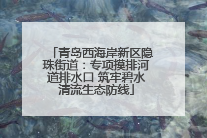 青岛西海岸新区隐珠街道：专项摸排河道排水口 筑牢碧水清流生态防线