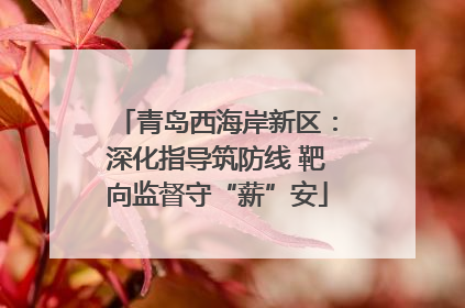 青岛西海岸新区：深化指导筑防线 靶向监督守“薪”安