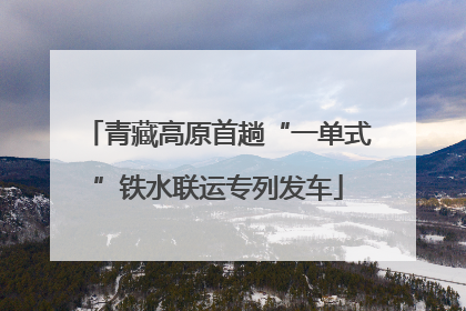 青藏高原首趟“一单式”铁水联运专列发车