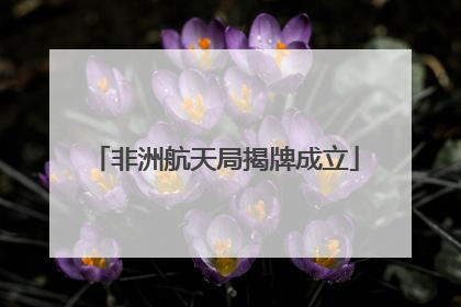 非洲航天局揭牌成立
