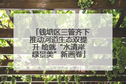 钱塘区三管齐下推动河道生态双提升 绘就“水清岸绿景美”新画卷