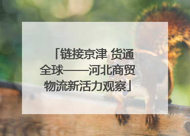 链接京津 货通全球——河北商贸物流新活力观察